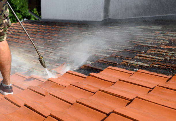 Why Choose Our Certified Pressure Washing Experts for Your Project Needs in Olga, FL?