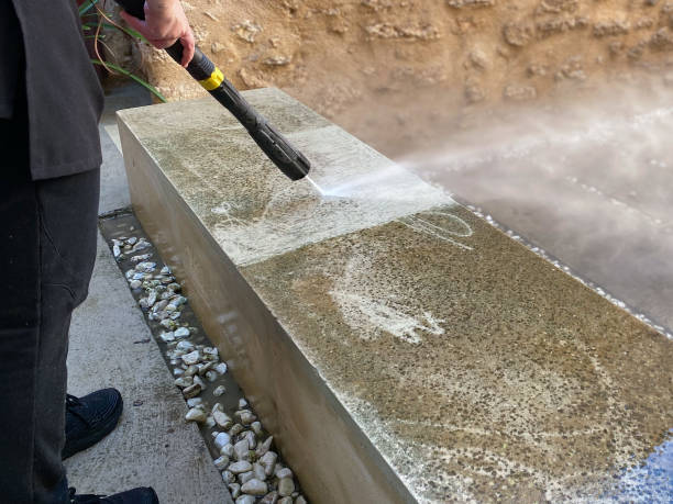 Best Pressure Washing Near Me  in Olga, FL