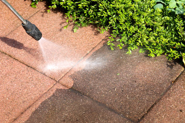 Best Residential Pressure Washing Services  in Olga, FL
